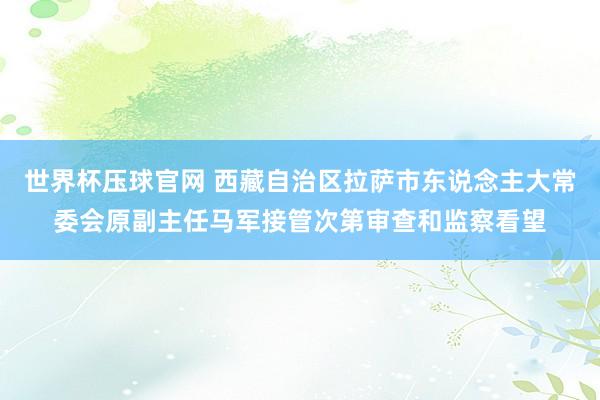 世界杯压球官网 西藏自治区拉萨市东说念主大常委会原副主任马军接管次第审查和监察看望