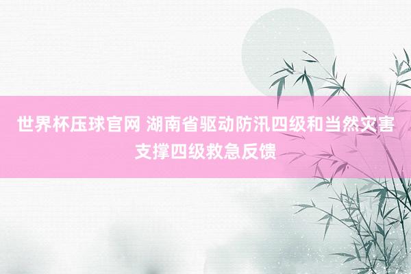 世界杯压球官网 湖南省驱动防汛四级和当然灾害支撑四级救急反馈