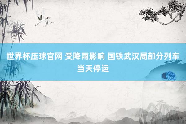 世界杯压球官网 受降雨影响 国铁武汉局部分列车当天停运