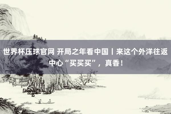 世界杯压球官网 开局之年看中国丨来这个外洋往返中心“买买买”，真香！