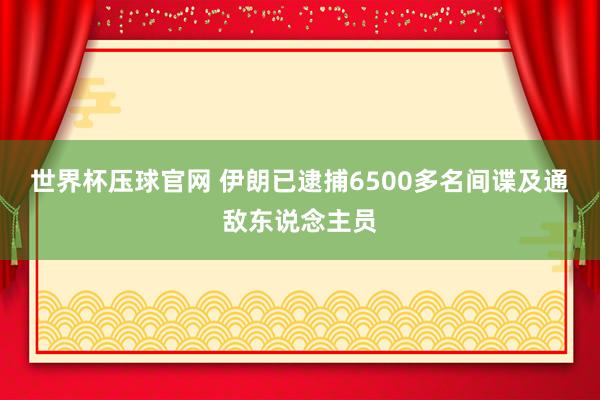 世界杯压球官网 伊朗已逮捕6500多名间谍及通敌东说念主员
