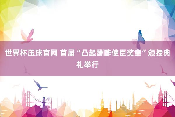 世界杯压球官网 首届“凸起酬酢使臣奖章”颁授典礼举行