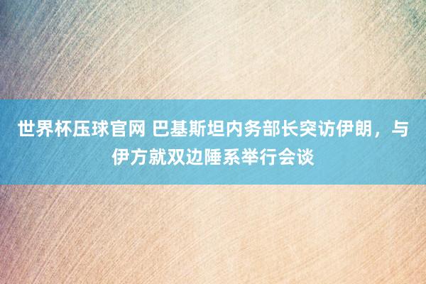 世界杯压球官网 巴基斯坦内务部长突访伊朗，与伊方就双边陲系举行会谈