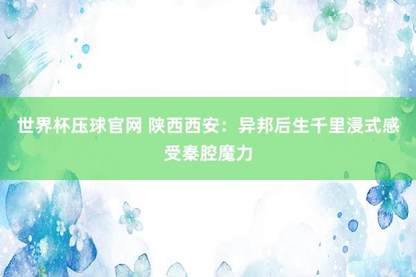 世界杯压球官网 陕西西安：异邦后生千里浸式感受秦腔魔力