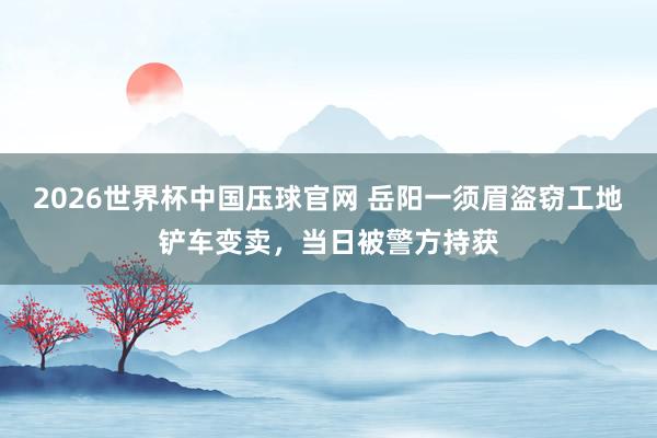 2026世界杯中国压球官网 岳阳一须眉盗窃工地铲车变卖，<a href=