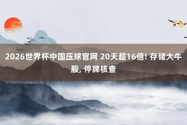 2026世界杯中国压球官网 20天超16倍! 存储大牛股， 停牌核查