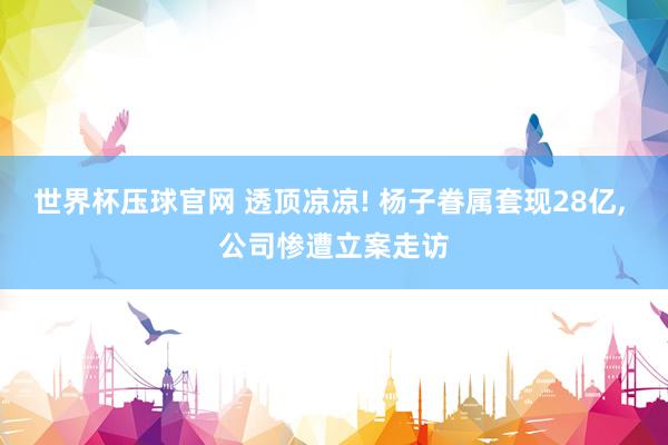 世界杯压球官网 透顶凉凉! 杨子眷属套现28亿， 公司惨遭立案走访