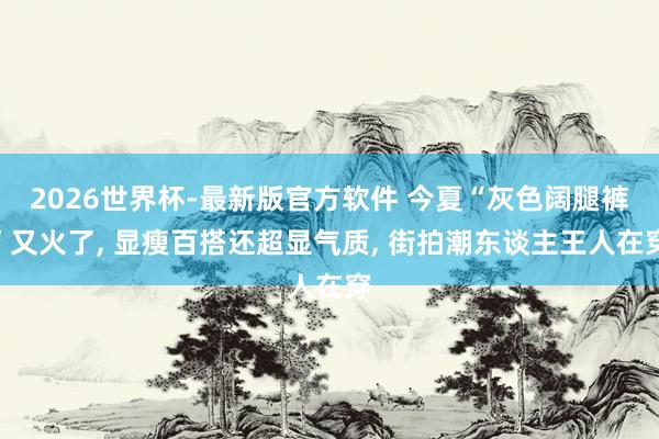2026世界杯-最新版官方软件 今夏“灰色阔腿裤”又火了， 显瘦百搭还超显气质， 街拍潮东谈主王人在穿