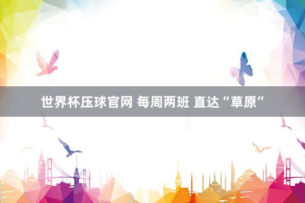 世界杯压球官网 每周两班 直达“草原”