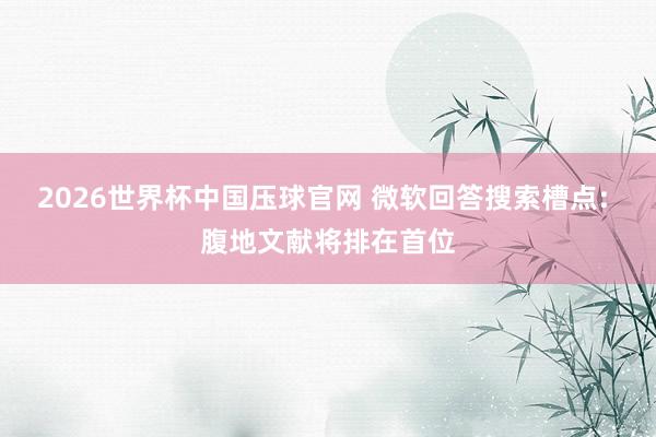 2026世界杯中国压球官网 微软回答搜索槽点: 腹地文献将排在首位