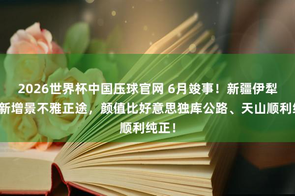 2026世界杯中国压球官网 6月竣事！新疆伊犁天山新增景不雅正途，颜值比好意思独库公路、天山顺利纯正！