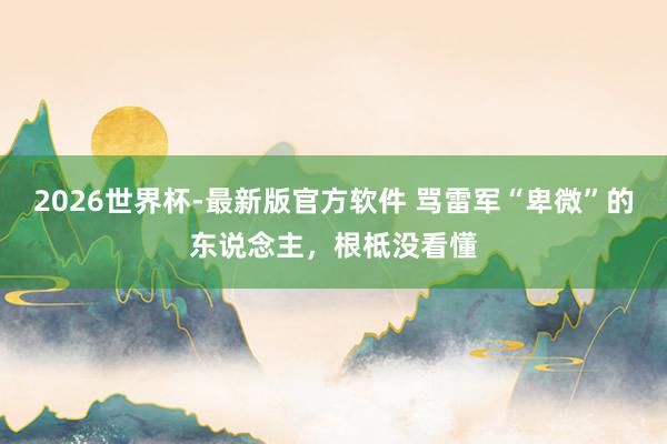 2026世界杯-最新版官方软件 骂雷军“卑微”的东说念主，根柢没看懂