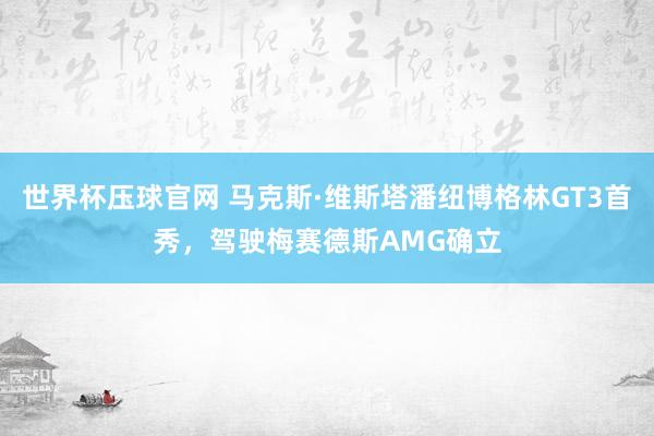 世界杯压球官网 马克斯·维斯塔潘纽博格林GT3首秀，驾驶梅赛德斯AMG确立