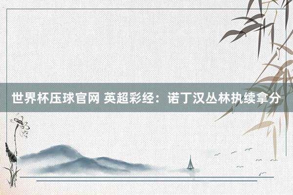 世界杯压球官网 英超彩经：诺丁汉丛林执续拿分