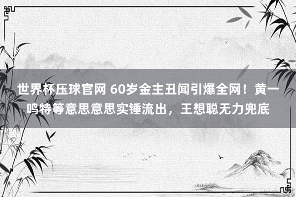 世界杯压球官网 60岁金主丑闻引爆全网！黄一鸣特等意思意思实锤流出，王想聪无力兜底