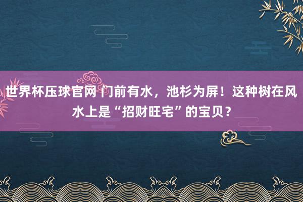 世界杯压球官网 门前有水，池杉为屏！这种树在风水上是“招财旺宅”的宝贝？
