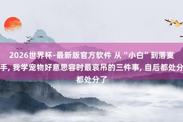 2026世界杯-最新版官方软件 从“小白”到落寞上手， 我学宠物好意思容时最哀吊的三件事， 自后都处分了