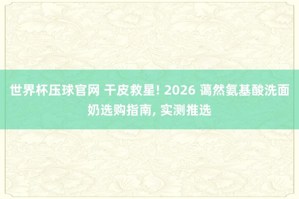 世界杯压球官网 干皮救星! 2026 蔼然氨基酸洗面奶选购指南， 实测推选