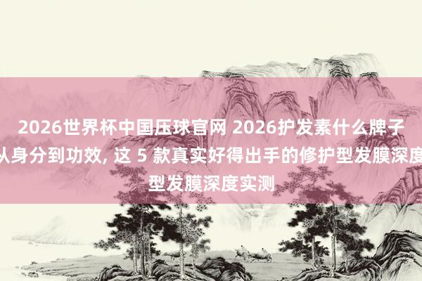 2026世界杯中国压球官网 2026护发素什么牌子好? 从身分到功效， 这 5 款真实好得出手的修护型发膜深度实测