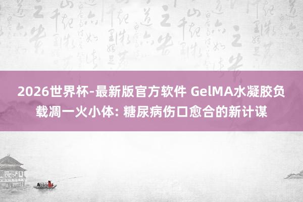 2026世界杯-最新版官方软件 GelMA水凝胶负载凋一火小体: 糖尿病伤口愈合的新计谋