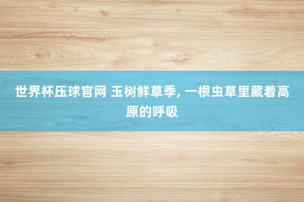 世界杯压球官网 玉树鲜草季, 一根虫草里藏着高原的呼吸