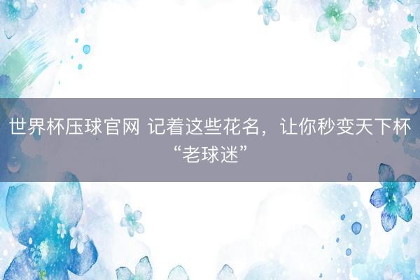 世界杯压球官网 记着这些花名，让你秒变天下杯“老球迷”