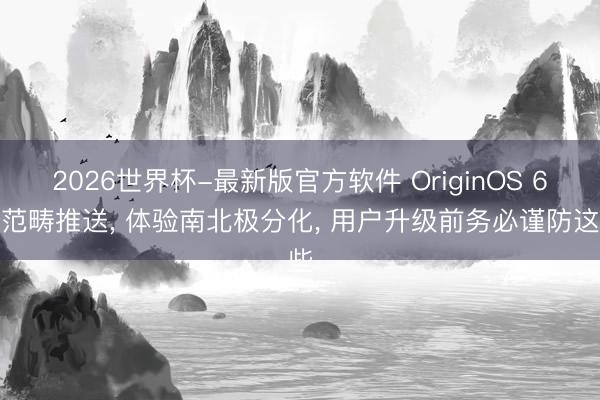 2026世界杯-最新版官方软件 OriginOS 6大范畴推送， 体验南北极分化， 用户升级前务必谨防这些