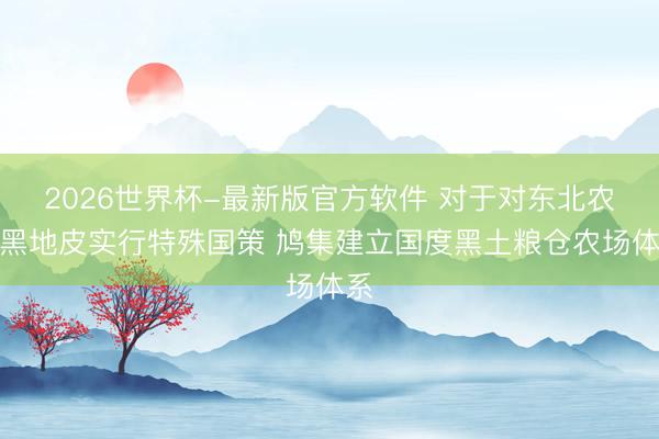 2026世界杯-最新版官方软件 对于对东北农区黑地皮实行特殊国策 鸠集建立国度黑土粮仓农场体系