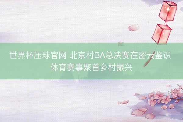 世界杯压球官网 北京村BA总决赛在密云鉴识 体育赛事聚首乡村振兴