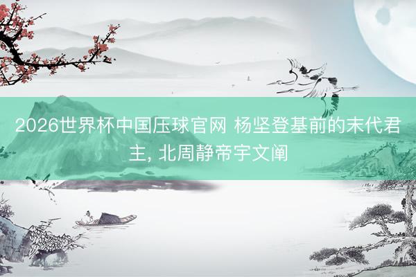 2026世界杯中国压球官网 杨坚登基前的末代君主, 北周静帝宇文阐